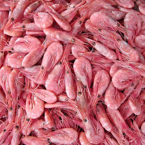 میگو صورتی