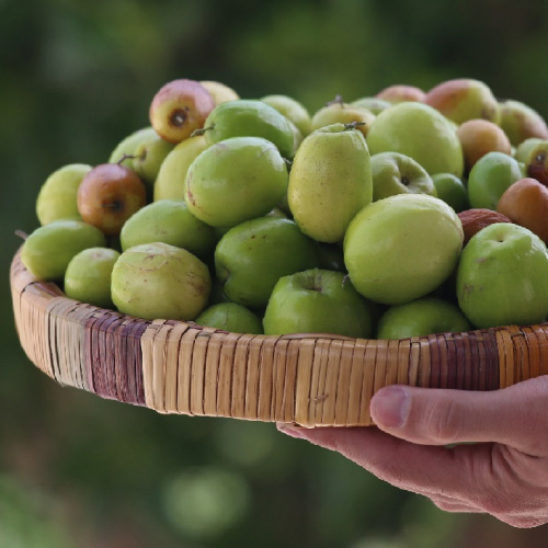 کنار